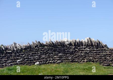 Traditional 'Curzyway' Handmade Cornish Slate Herringbone Dry Stone Wall near Willapark on the South West Coastal Path, Cornwall, England, UK. Stock Photo