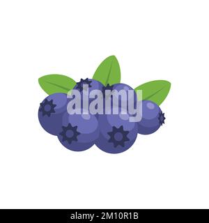 Blueberries Fruit Flat Design, Vector Illustration. Stock Vector