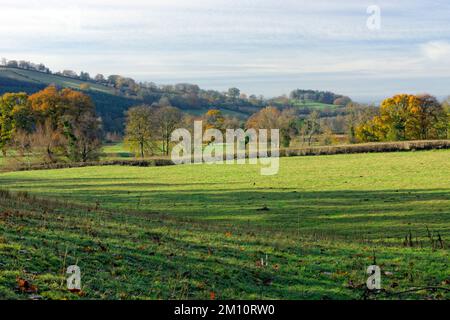 Autumn colours, Usk Valley, Brecon, Powys, Wales. Stock Photo