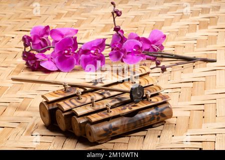 A traditional wooden xylophone a bamboo background. Stock Photo