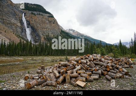 A shot of a heap of chopped logs piled up in front of a large waterfall- in British Columbia, Canada. Stock Photo