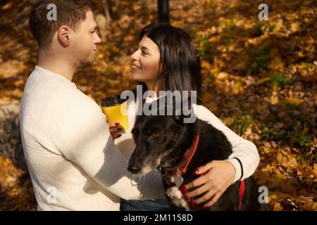 Happy woman chatting with her boyfriend in autumn park Stock Photo