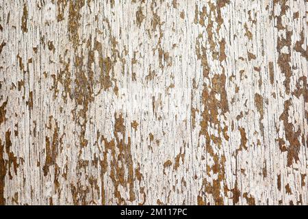 light color wooden background for copy space, Stock Photo