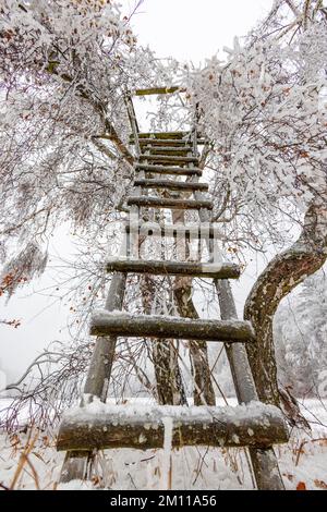 winterliche Impressionen aus dem Harz Stock Photo