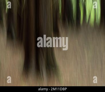 Abstract winter forest, woods scene with motion blur. Impressionist abstract background. Stock Photo