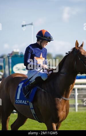 Jockey Harry Burns before the start of a race at York Races Stock Photo ...