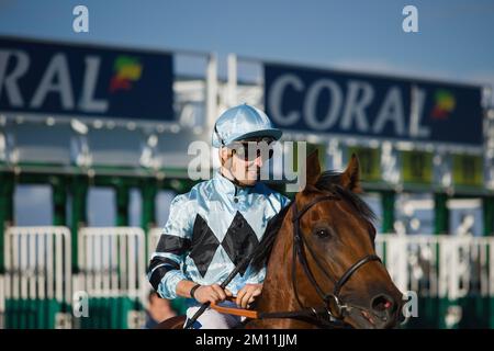 Jockey Kevin Stott waiting at the starting gates at York Races. Stock Photo