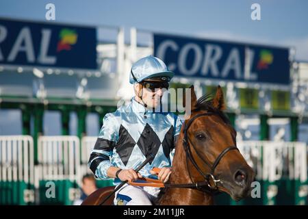 Jockey Kevin Stott waiting at the starting gates at York Races. Stock Photo