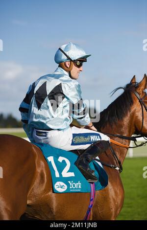 Jockey Kevin Stott waiting at the starting gates at York Races. Stock Photo