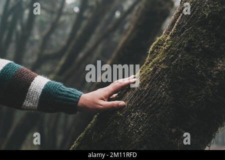 Close up of man hand touching softly a tree trunk with green musk. Concept of environment and nature protection people lifestyle. Stop deforestation. Save forests and woods. Nature outdoors park Stock Photo