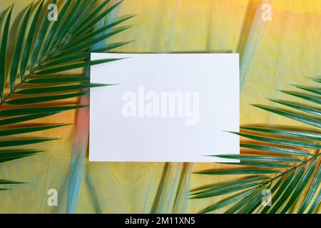 Trendy Summer layout made with white blank card and palm leaves background. Flat lay Stock Photo