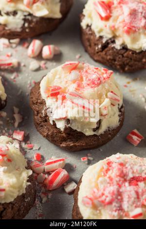 Homemade Peppermint Candycane Chocolate Cookies for Christmas Stock Photo