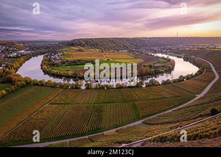 Neckar river bend in autumn, in Mundelsheim, Baden Württemberg, Germany ...