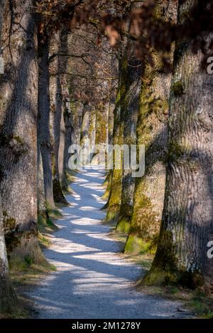 Murnau am Staffelsee, district of Garmisch-Partenkirchen, Upper Bavaria, Germany. Spring at the Kottmüller avenue Stock Photo