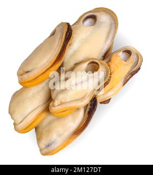 New Zealand Mussels peeled without shells isolated on white background. Stock Photo