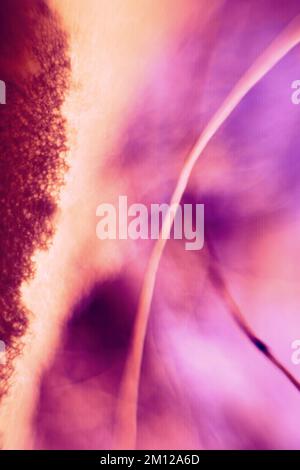 Blurred four-dimensional space (leaky sky, the wormhole concept