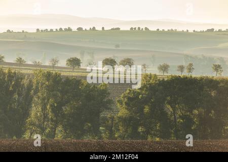 Europe, Czech, South Moravian Region, Hodonin District, Scenic view of rolling fields near Kyjov Stock Photo