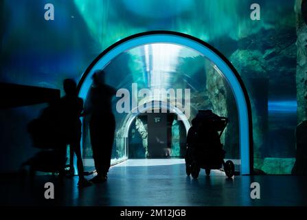 Through the glass tunnel Stock Photo