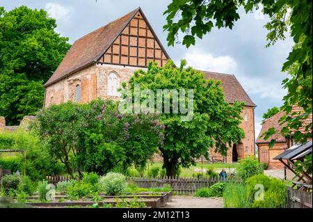 Germany, Baltic Sea, Mecklenburg-Western Pomerania, Mecklenburg Lake District, Stargard Castle, Castle Hill, Garden Stock Photo