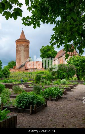 Germany, Baltic Sea, Mecklenburg-Western Pomerania, Mecklenburg Lake District, Stargard Castle, Castle Hill, Garden Stock Photo