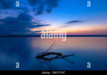 Driftwood in evening light at Ammersee, Bavaria, Germany, Europe Stock Photo