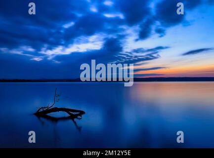 Driftwood in evening light at Ammersee, Bavaria, Germany, Europe Stock Photo