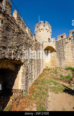 fortified wall with tower on the site of the castle church of Ingelheim, Rheinhessen, late Gothic sacral building with fortifications Stock Photo