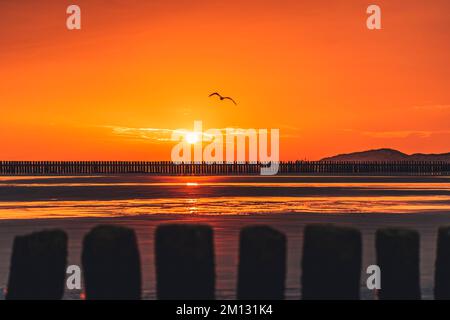 Sunrise with morning red on the northern beach of the North Sea island Norderney, blurred groynes in the foreground Stock Photo