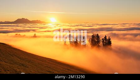 Sunbeams shining in the mist through a forest in the back Pilatus in the light of the setting sun, Zugerberg, Canton Zug, Switzerland, Europe Stock Photo