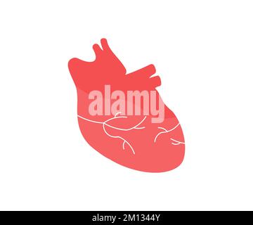 Realistic human heart organ with arteries and aorta logo design. Anatomical human heart silhouette. Healthy medicine concept, cardiology vector design Stock Vector