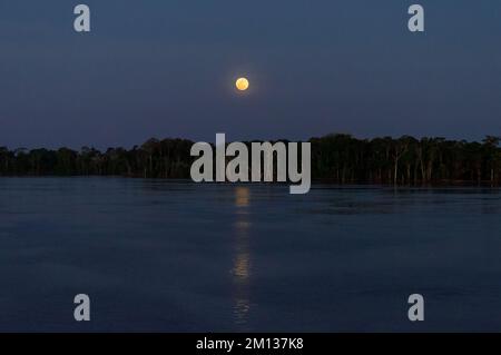 Full moon night in the Amazon forest along the Amazon river Stock Photo