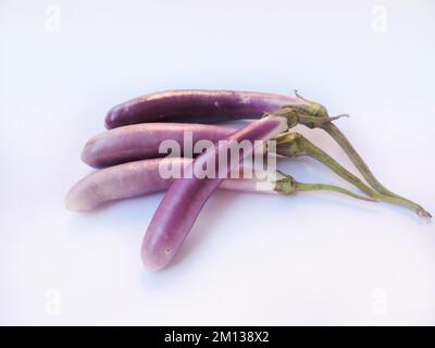 Eggplant, aubergine or brinjal is a plant species in the nightshade family Solanaceae. Solanum melongena is grown worldwide for its edible fruit. Stock Photo