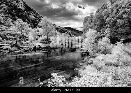 Outflow of Llyn Dinas lake Nantgwynant Valley Snowdonia National Park Gwynedd North Wales UK, Late Spring. Stock Photo