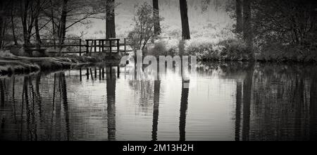 Black and white photograph of woodland pond in Cannock Chase Forest in a Area of Outstanding Natural Beauty Stock Photo