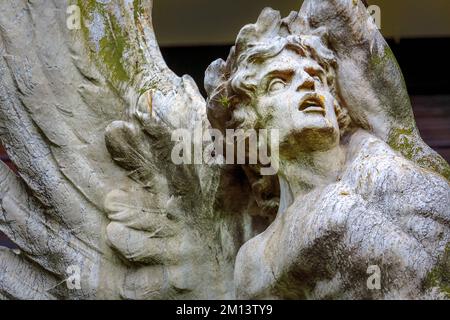 Faithfull angel with wings, looking at the sky for God, Recoleta, Buenos Aires, Argentina, South America Stock Photo