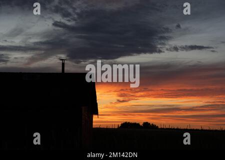 Rustic barn silhouette under a sunset sky prairie landscape in Rocky View County Alberta Canada. Stock Photo