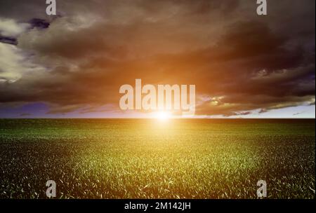 Thunderclouds over fields at sunset Stock Photo