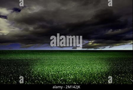 Thunderclouds over fields Stock Photo