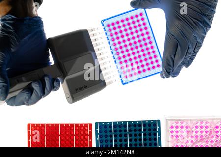 Researcher using multichannel pipette Stock Photo