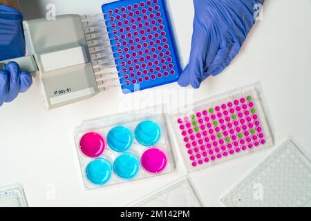 Researcher using multichannel pipette Stock Photo