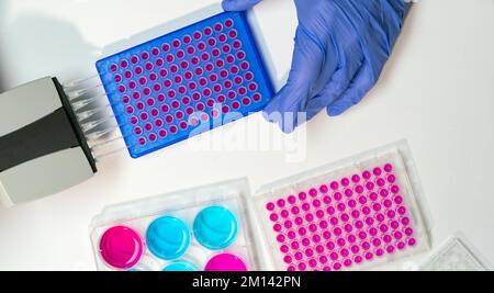 Researcher using multichannel pipette Stock Photo