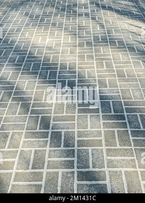 tiled pavement covered by snow in the sunlight and with trees shadows Stock Photo
