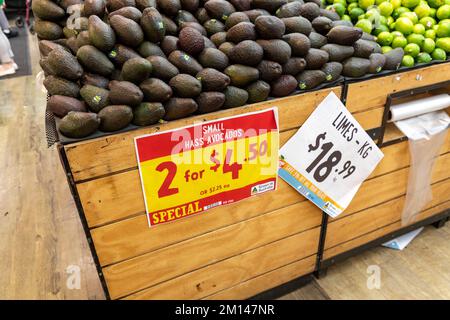 Group of fresh avocados in a green mesh bag isolated on white. One