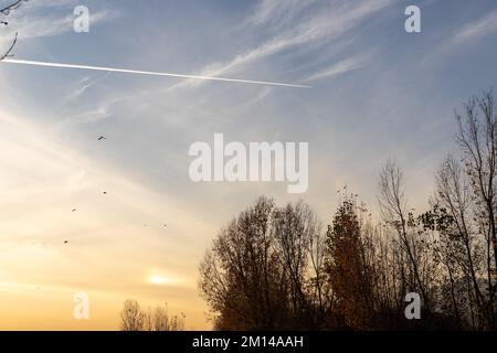 Beautiful sunset over a trees silhouette with traces of an airplane passing fly in the sky Stock Photo