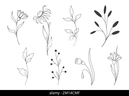 decorative flower set in vector and illustration Stock Vector