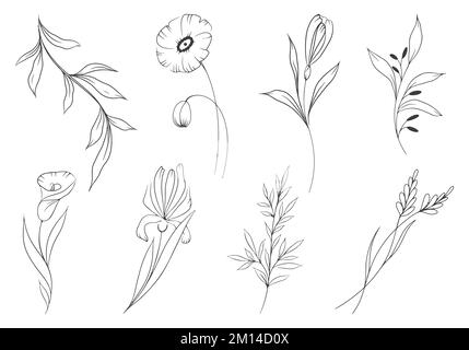 set of flowers and branches with leaves in hand drawn style Stock Vector