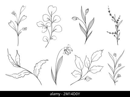 floral collection in hand drawn style in illustration Stock Vector