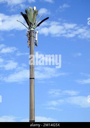 cell phone tower in Egypt or cellular phone antenna disguised on fake palm tree placed at proper intervals along highways and byways to communicate ov Stock Photo