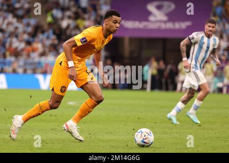 Al Daayen, Qatar. 09th Dec, 2022. Cody Gakpo of Netherlands during the FIFA World Cup 2022, Quarter-final football match between Netherlands and Argentina on December 9, 2022 at Lusail Stadium in Al Daayen, Qatar - Photo: Jean Catuffe/DPPI/LiveMedia Credit: Independent Photo Agency/Alamy Live News Stock Photo