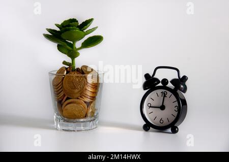 Growing plant on gold coins in a glass with alarm clock. Copy space and investment concept Stock Photo